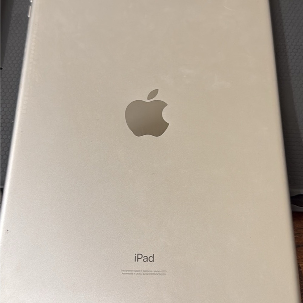 Apple iPad - Elegant Sliver